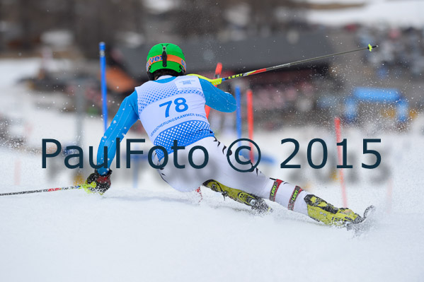 Int. Dt. Meisterschaft SL Herren 2015