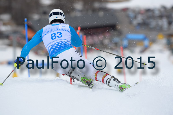 Int. Dt. Meisterschaft SL Herren 2015