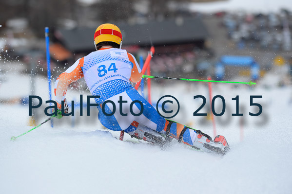 Int. Dt. Meisterschaft SL Herren 2015