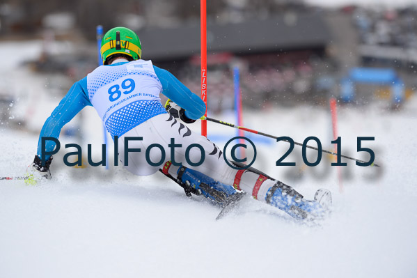 Int. Dt. Meisterschaft SL Herren 2015