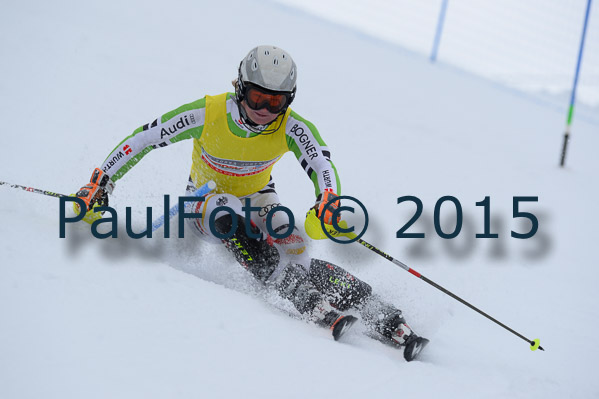 Int. Dt. Meisterschaft SL Herren 2015