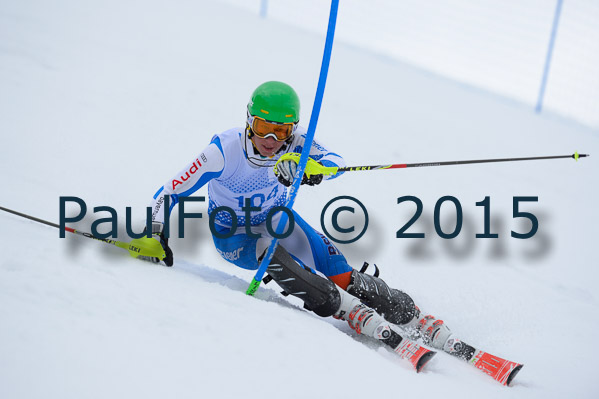 Int. Dt. Meisterschaft SL Herren 2015