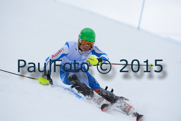 Int. Dt. Meisterschaft SL Herren 2015
