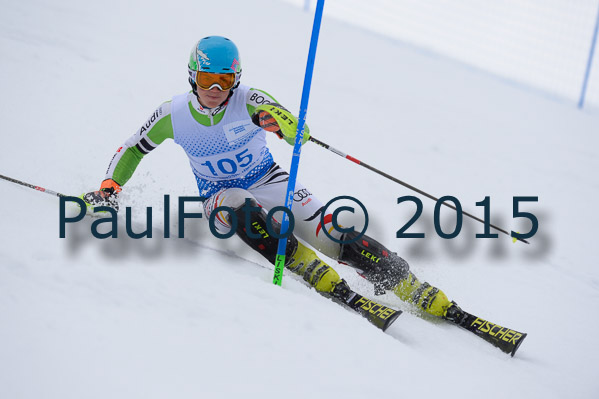 Int. Dt. Meisterschaft SL Herren 2015