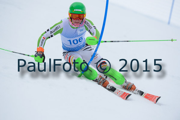 Int. Dt. Meisterschaft SL Herren 2015
