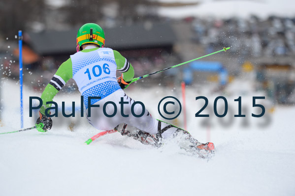 Int. Dt. Meisterschaft SL Herren 2015