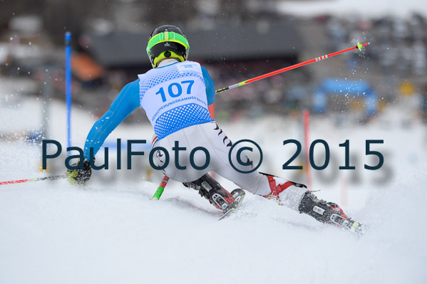 Int. Dt. Meisterschaft SL Herren 2015