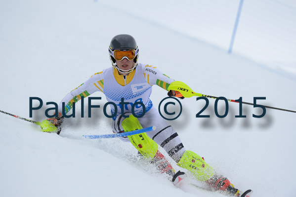 Int. Dt. Meisterschaft SL Herren 2015