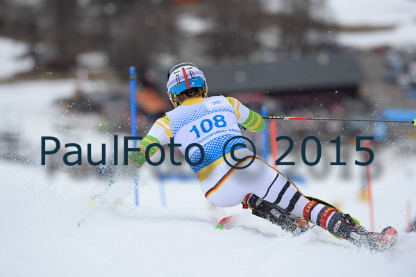 Int. Dt. Meisterschaft SL Herren 2015