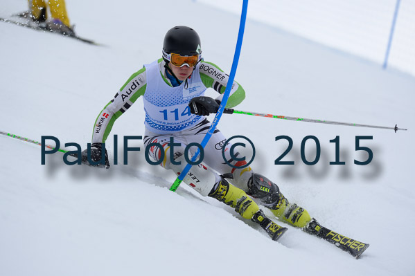 Int. Dt. Meisterschaft SL Herren 2015