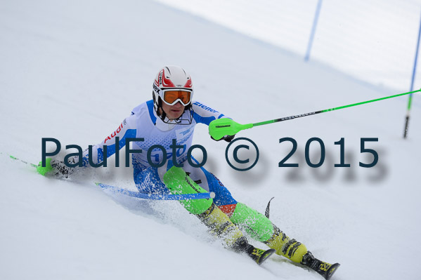 Int. Dt. Meisterschaft SL Herren 2015