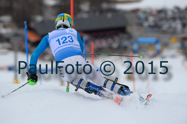 Int. Dt. Meisterschaft SL Herren 2015