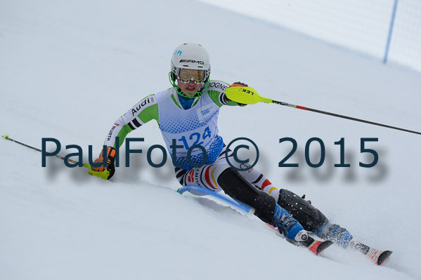 Int. Dt. Meisterschaft SL Herren 2015