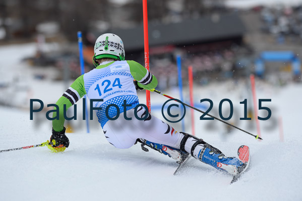 Int. Dt. Meisterschaft SL Herren 2015