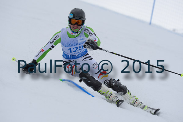 Int. Dt. Meisterschaft SL Herren 2015
