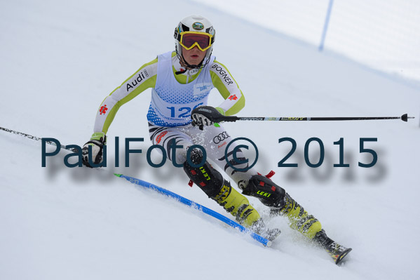 Int. Dt. Meisterschaft SL Herren 2015