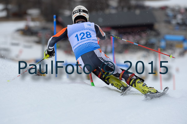 Int. Dt. Meisterschaft SL Herren 2015