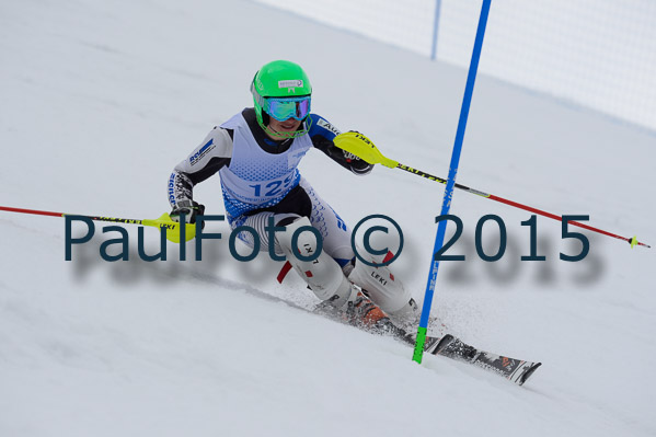 Int. Dt. Meisterschaft SL Herren 2015