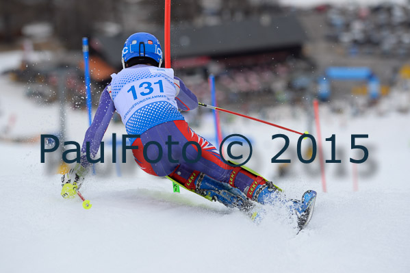 Int. Dt. Meisterschaft SL Herren 2015