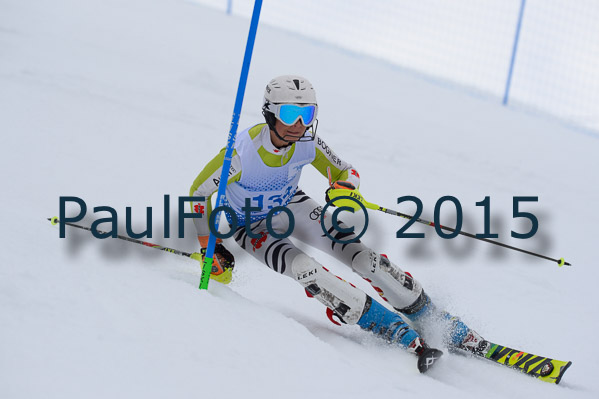 Int. Dt. Meisterschaft SL Herren 2015