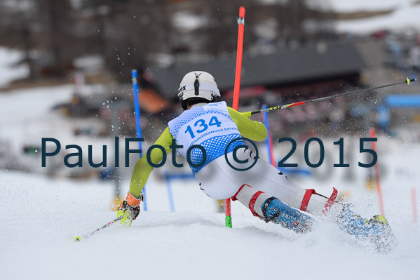 Int. Dt. Meisterschaft SL Herren 2015
