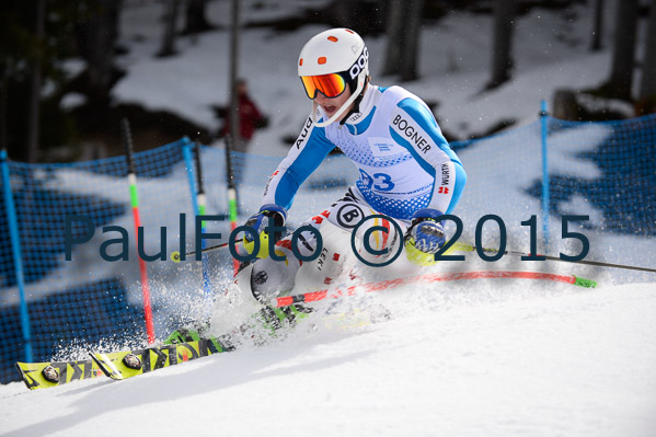 Int. Dt. Meisterschaft SL Herren 2015