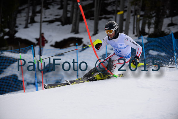 Int. Dt. Meisterschaft SL Herren 2015