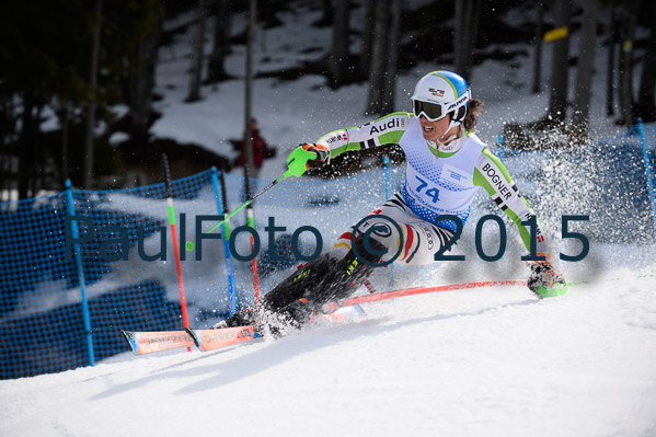 Int. Dt. Meisterschaft SL Herren 2015
