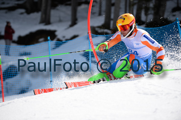 Int. Dt. Meisterschaft SL Herren 2015