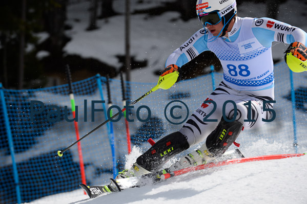 Int. Dt. Meisterschaft SL Herren 2015