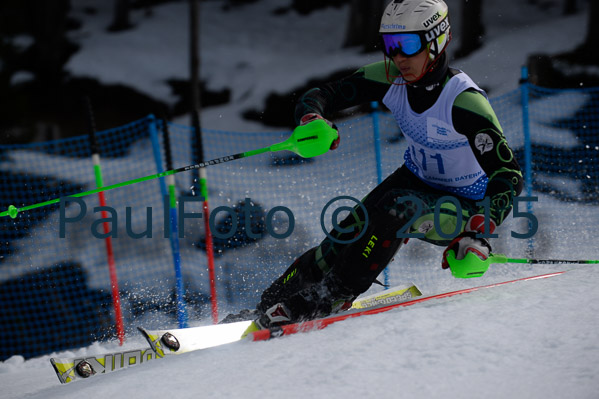 Int. Dt. Meisterschaft SL Herren 2015