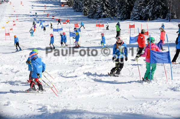 Ziener Cup Finale 2015