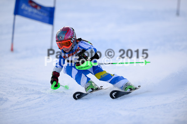 Ziener Cup Finale 2015