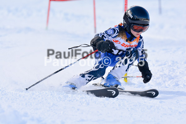 Ziener Cup Finale 2015
