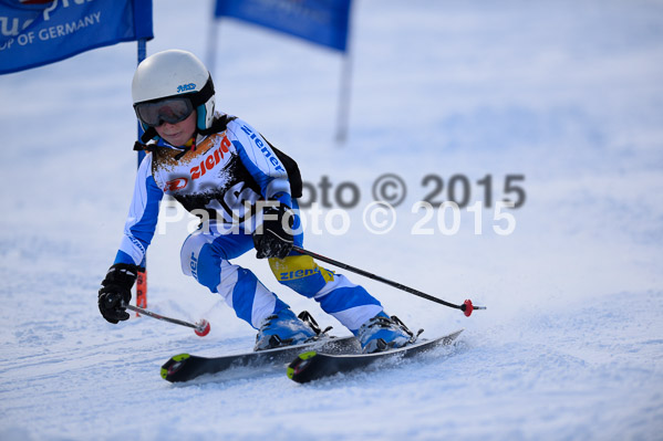 Ziener Cup Finale 2015