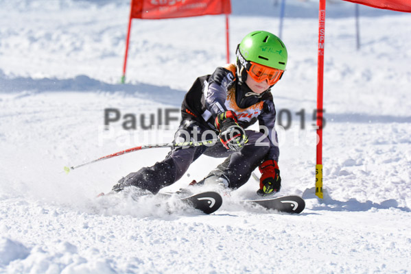 Ziener Cup Finale 2015