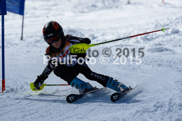 Ziener Cup Finale 2015