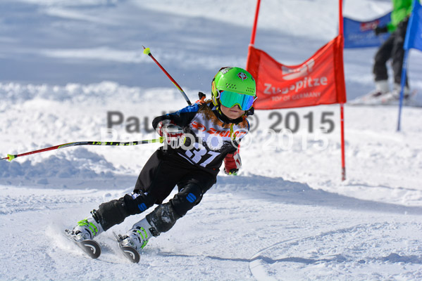 Ziener Cup Finale 2015