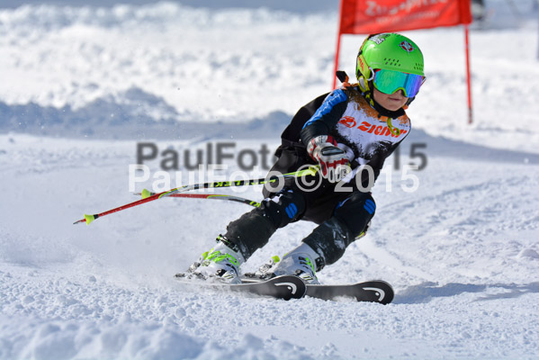 Ziener Cup Finale 2015