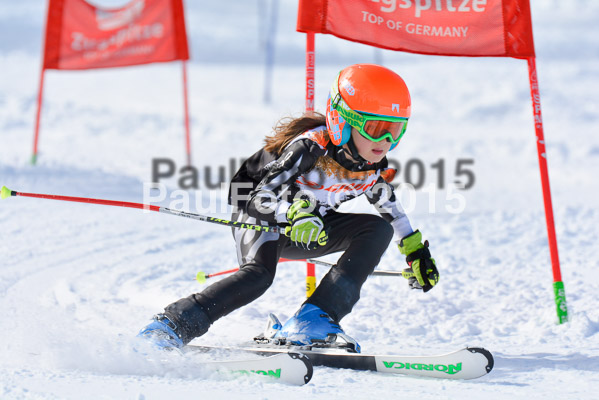 Ziener Cup Finale 2015