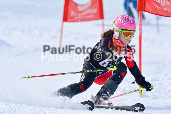 Ziener Cup Finale 2015