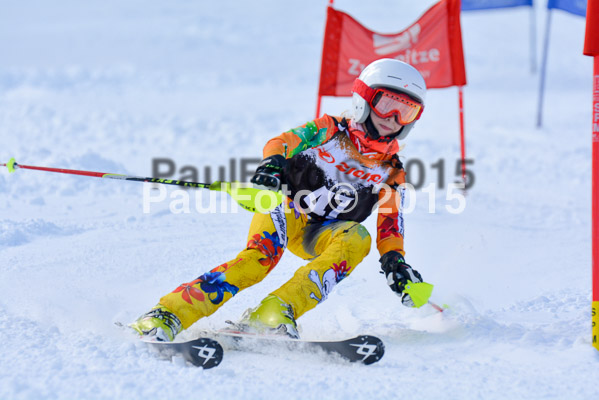 Ziener Cup Finale 2015