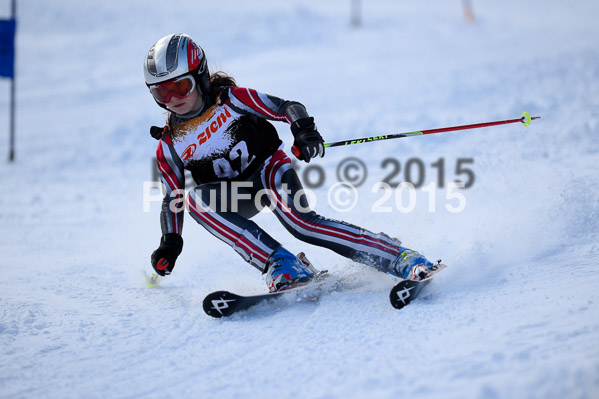 Ziener Cup Finale 2015