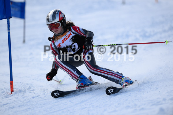 Ziener Cup Finale 2015