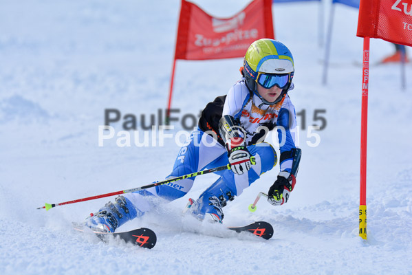 Ziener Cup Finale 2015