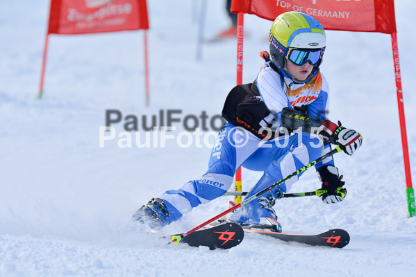 Ziener Cup Finale 2015