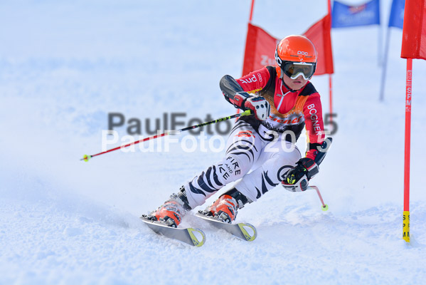 Ziener Cup Finale 2015