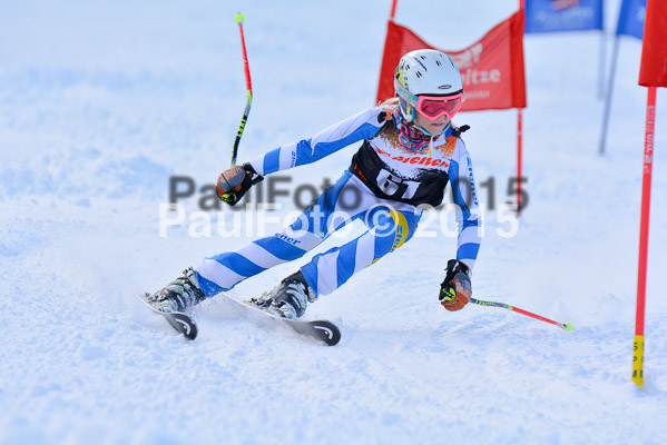 Ziener Cup Finale 2015