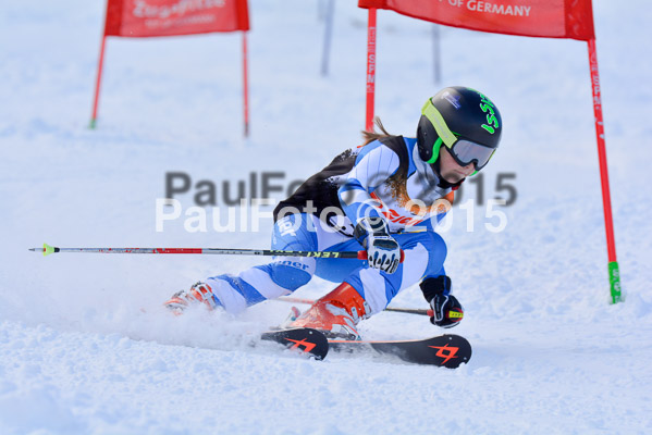 Ziener Cup Finale 2015