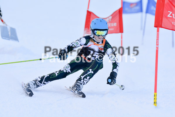 Ziener Cup Finale 2015